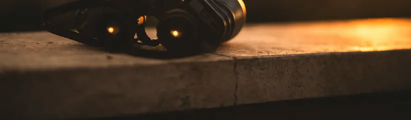 Cover for the article