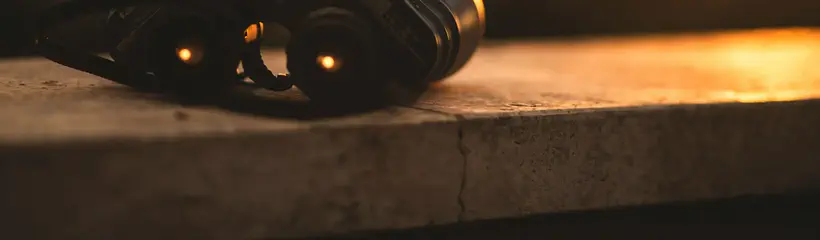 Cover for the article