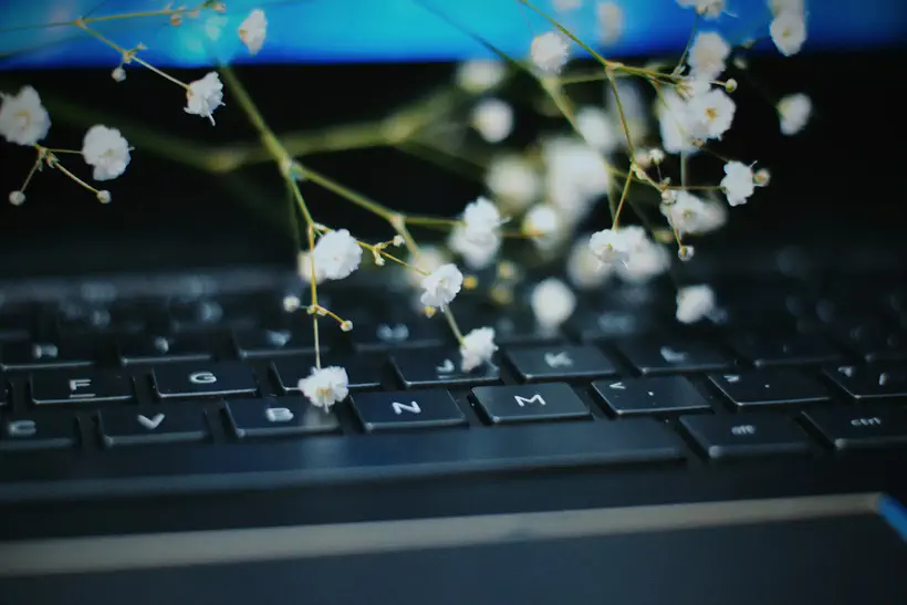 Illustration de couverture