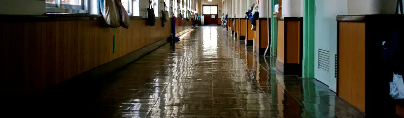 Cover for the article