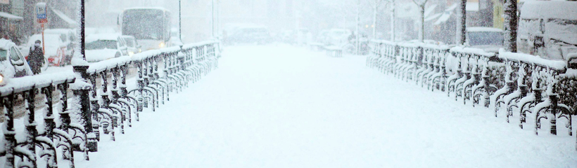 Cover for the article