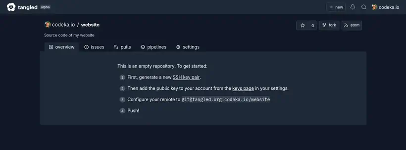La page d’un repo tout neuf!