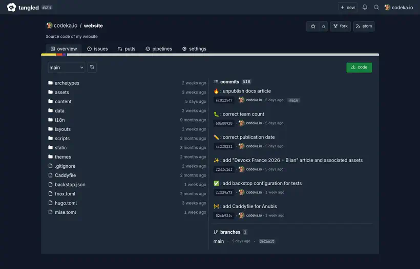 Mon repo une fois le code pushé